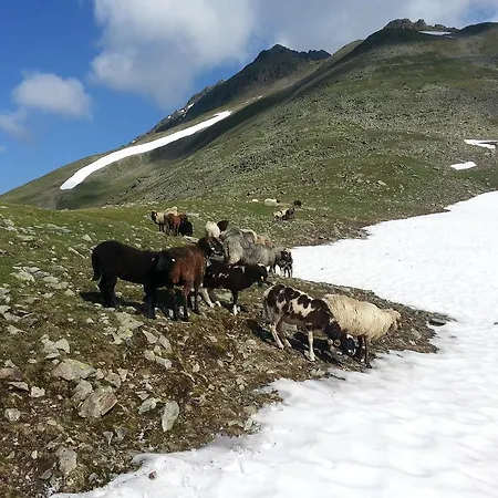 Eiter Sankt Leonhard im Pitztal
