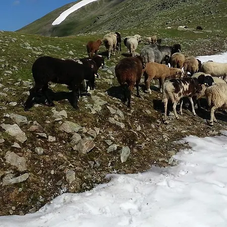 Eiter * Sankt Leonhard im Pitztal