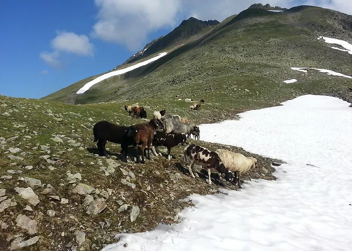 Eiter Sankt Leonhard im Pitztal