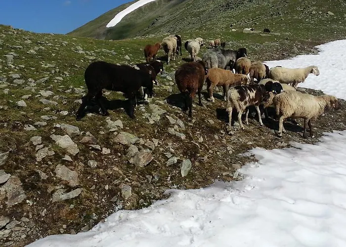 Eiter * Sankt Leonhard im Pitztal